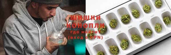 индика Аркадак