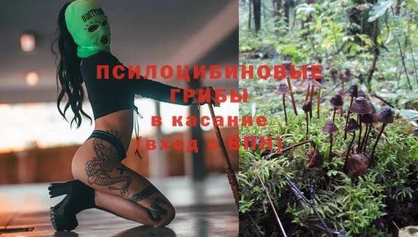 дмт Армянск