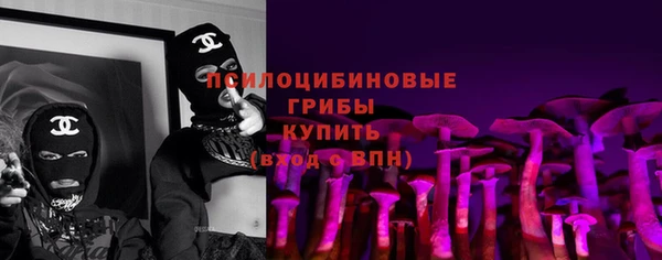прущий лед Алзамай