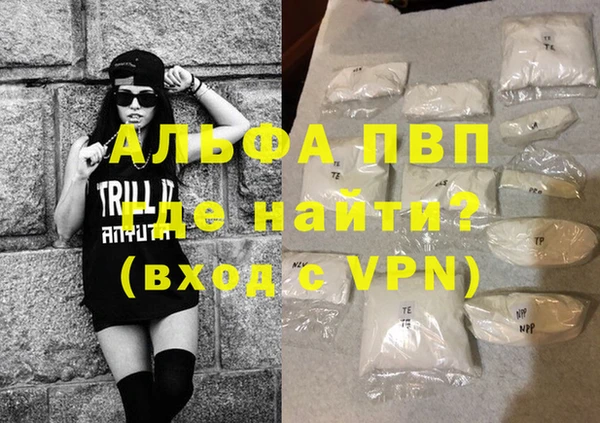 индика Аркадак