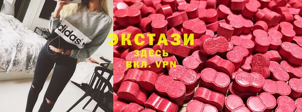 индика Аркадак