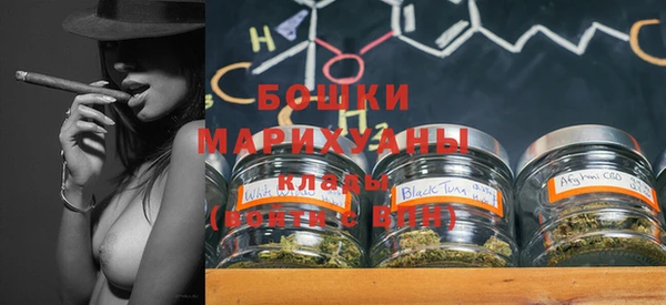 индика Аркадак