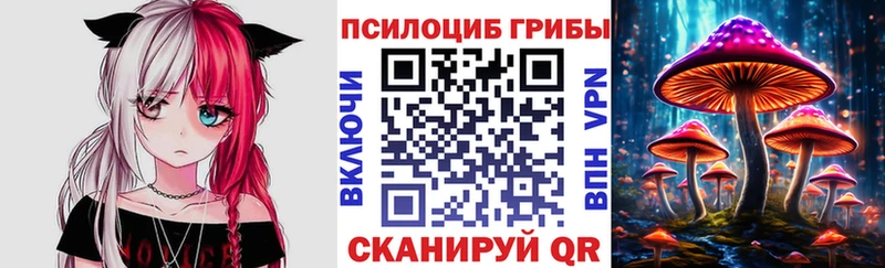 как найти закладки  Злынка  Галлюциногенные грибы прущие грибы 