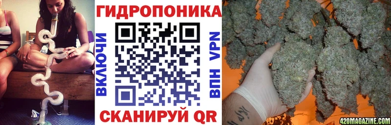 Каннабис SATIVA & INDICA  Злынка 